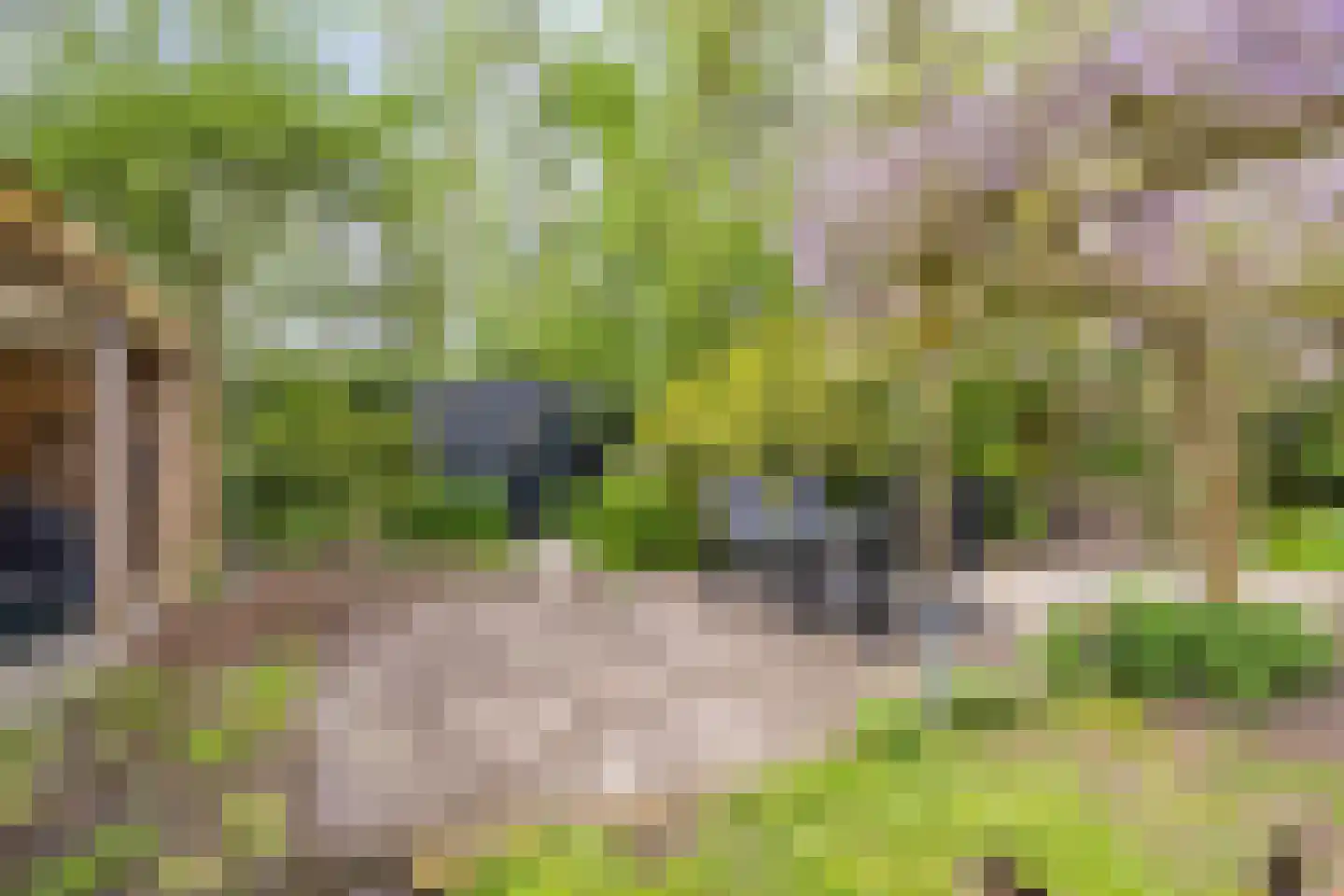 Paradijs 2 De Weere thumbnail 45