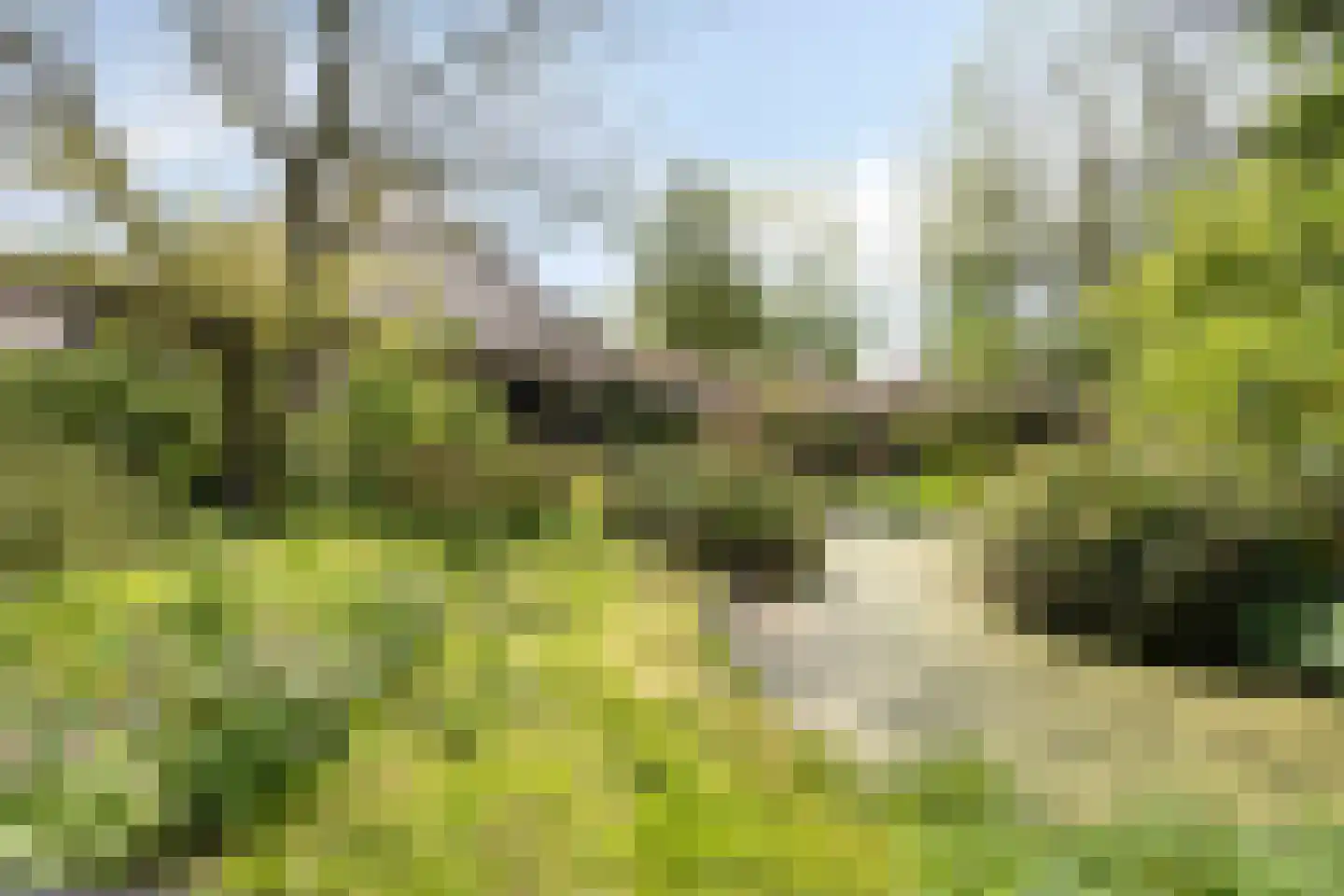 Paradijs 2 De Weere thumbnail 5