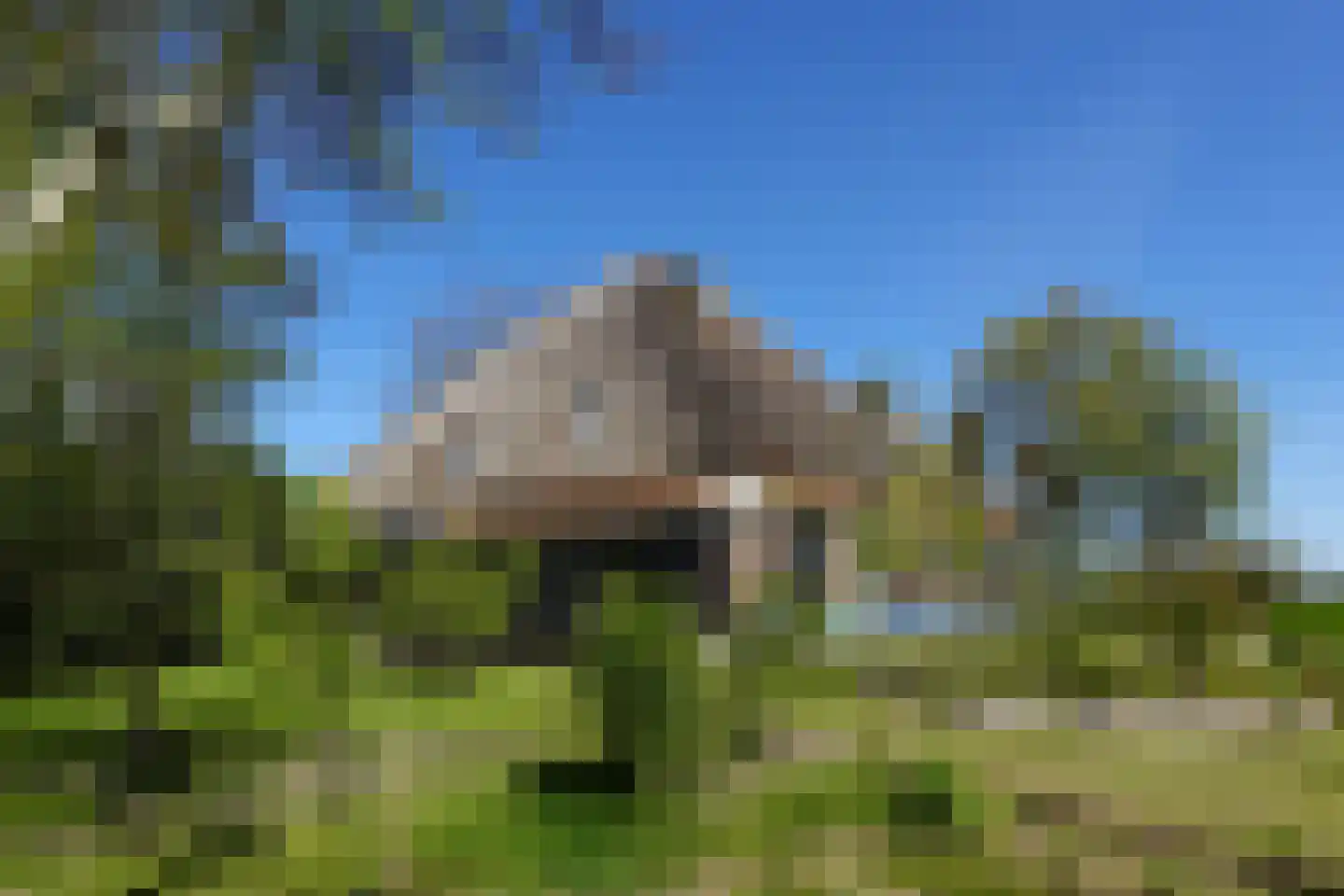 Paradijs 2 De Weere thumbnail 50