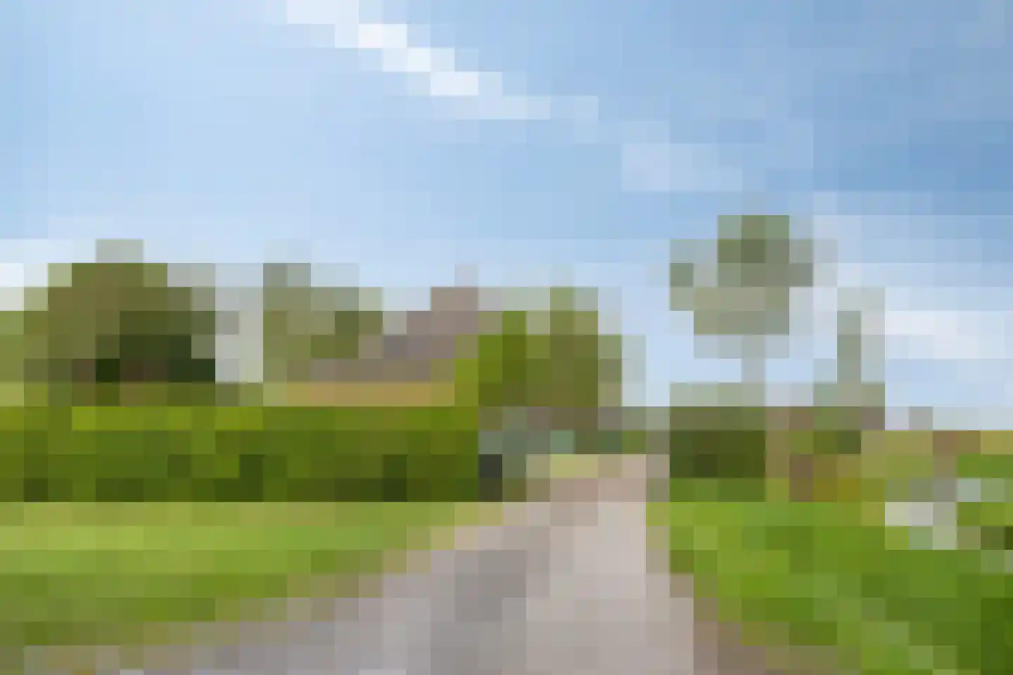 Paradijs 2 De Weere thumbnail 6