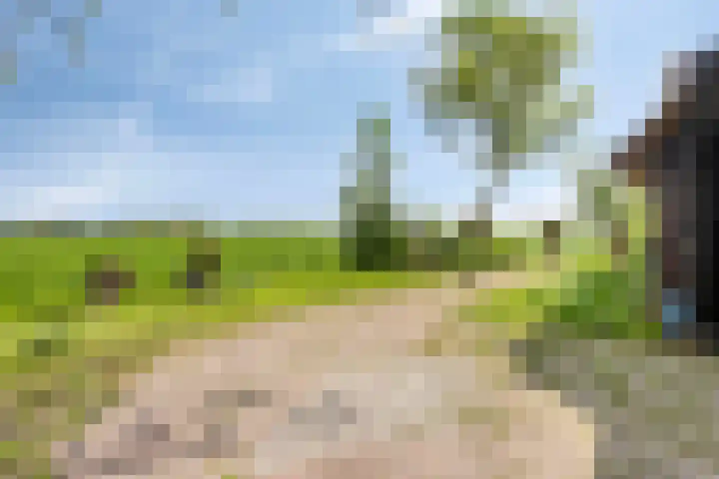Paradijs 2 De Weere thumbnail 7