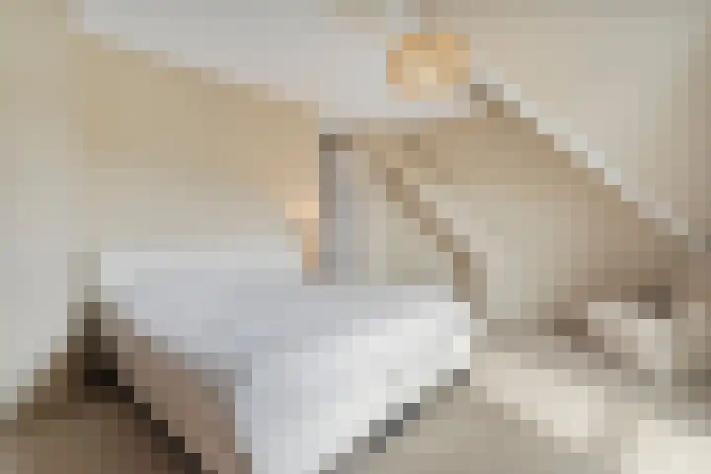 Paradijs 22 Arnhem thumbnail 30