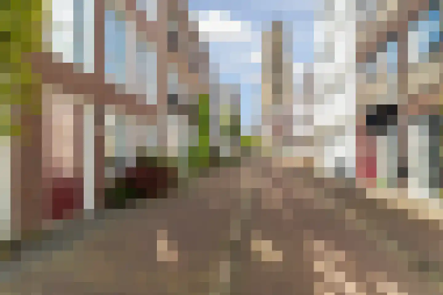 Paradijs 22 Arnhem thumbnail 45