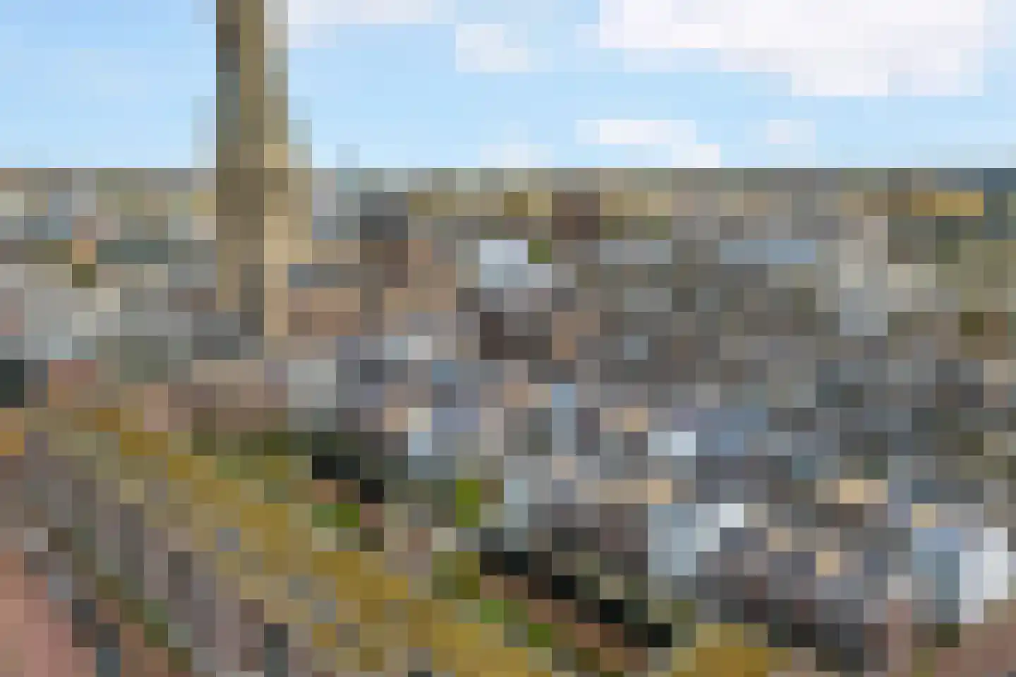 Paradijs 22 Arnhem thumbnail 48