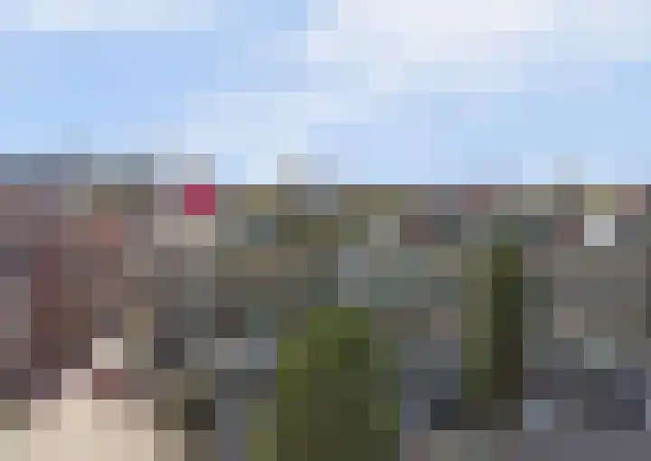 Paradijs 39 in Gouda