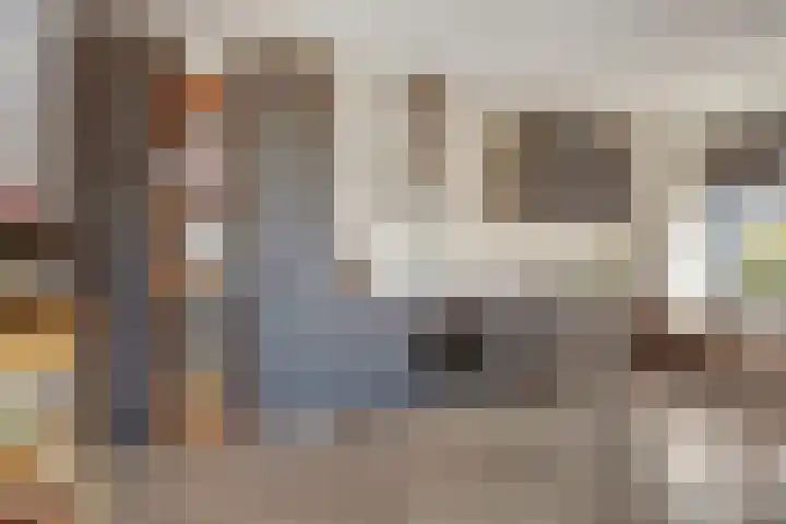 Paradijs 39 Gouda thumbnail 17