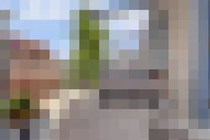 Paradijs 39 Gouda thumbnail 29