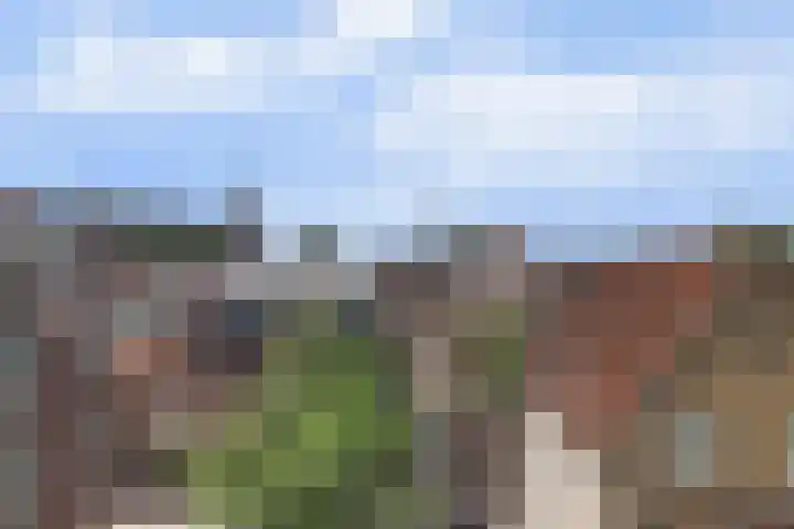 Paradijs 39 Gouda thumbnail 30