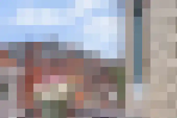Paradijs 39 Gouda thumbnail 31