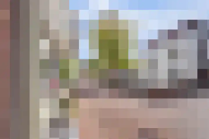 Paradijs 39 Gouda thumbnail 33