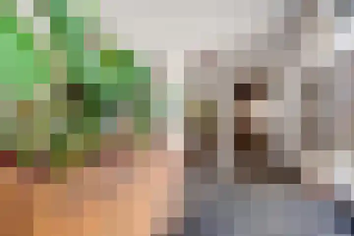 Paradijs 39 Gouda thumbnail 6