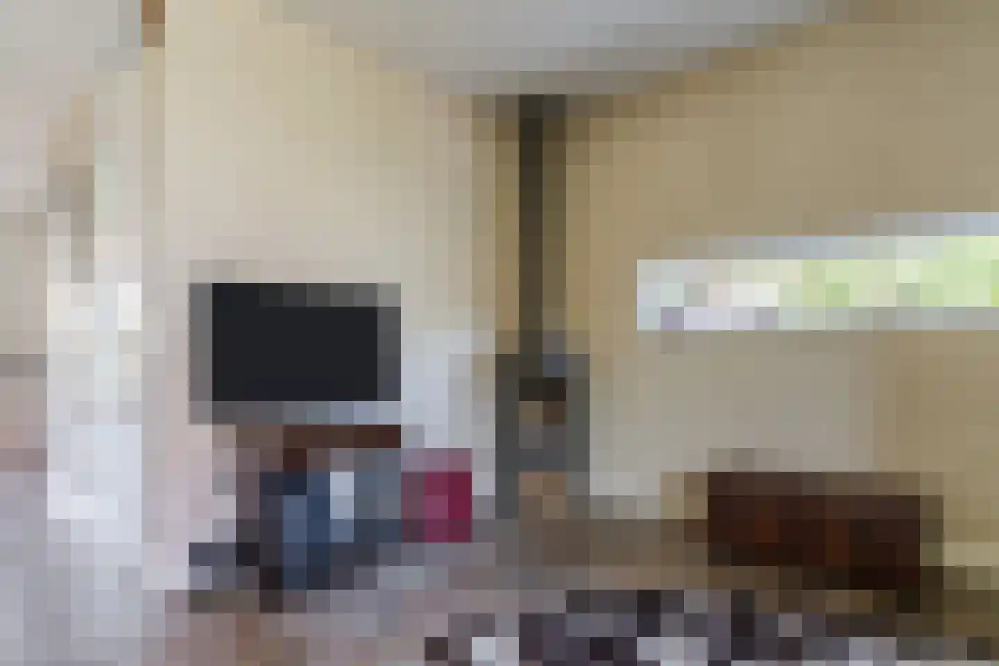 Paradijsappel 4 Winkel thumbnail 11