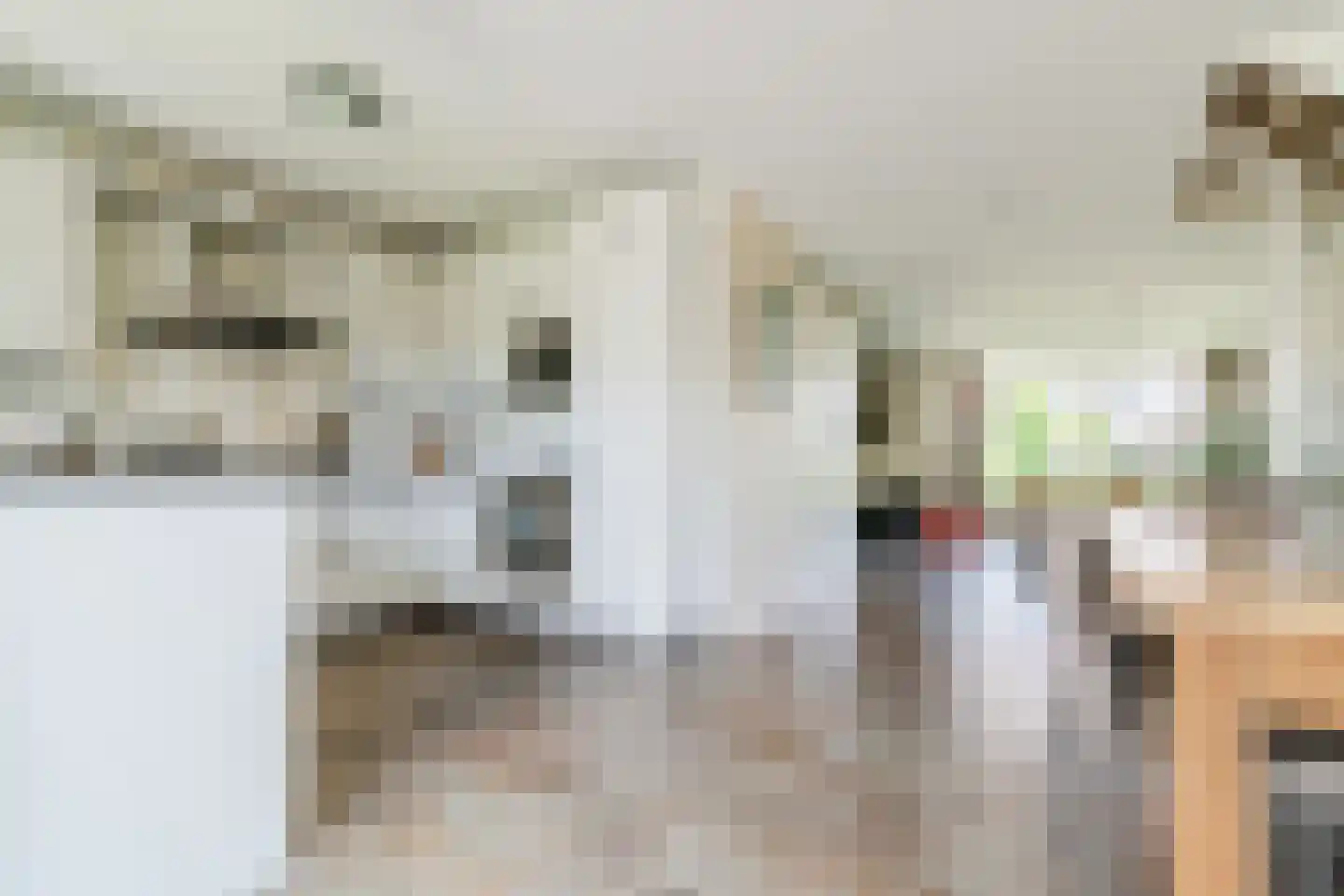 Paradijsappel 4 Winkel thumbnail 17