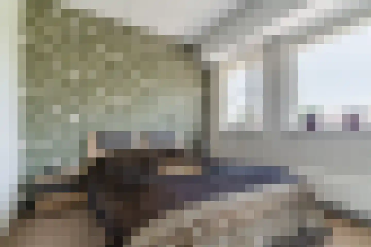Paradijsappel 4 Winkel thumbnail 24