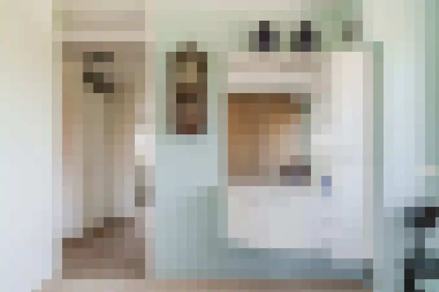 Paradijsappel 4 Winkel thumbnail 32