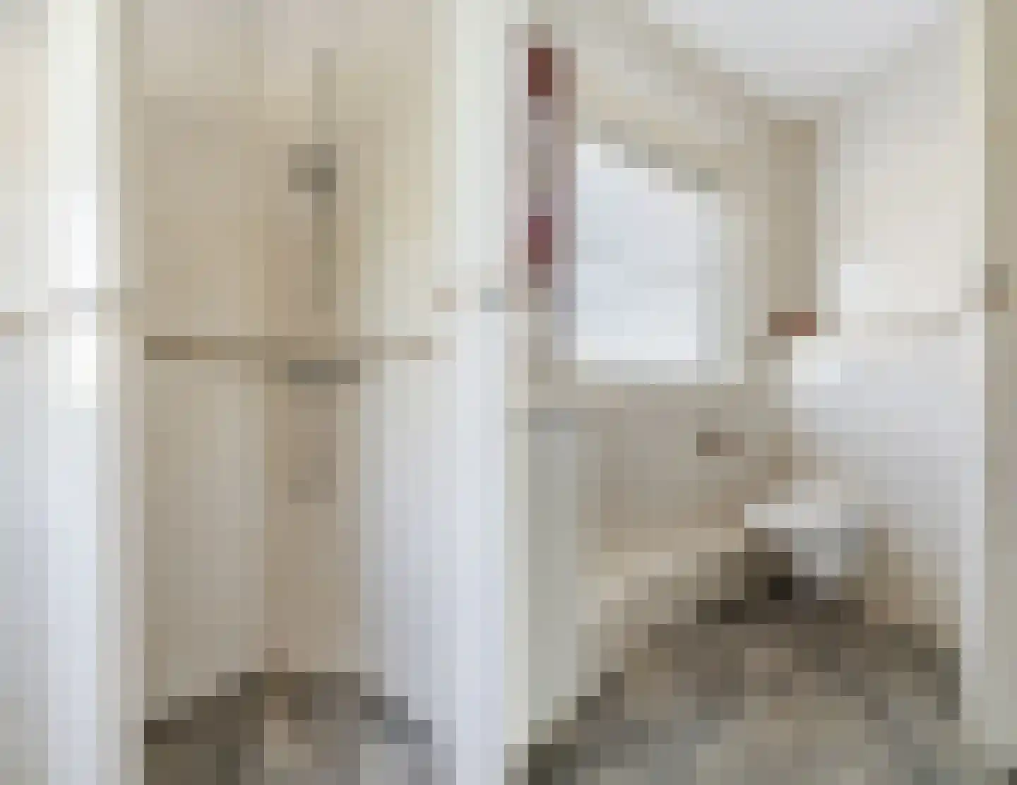 Paradijsappel 4 Winkel thumbnail 35