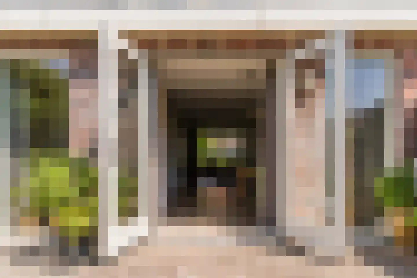 Paradijsappel 4 Winkel thumbnail 40