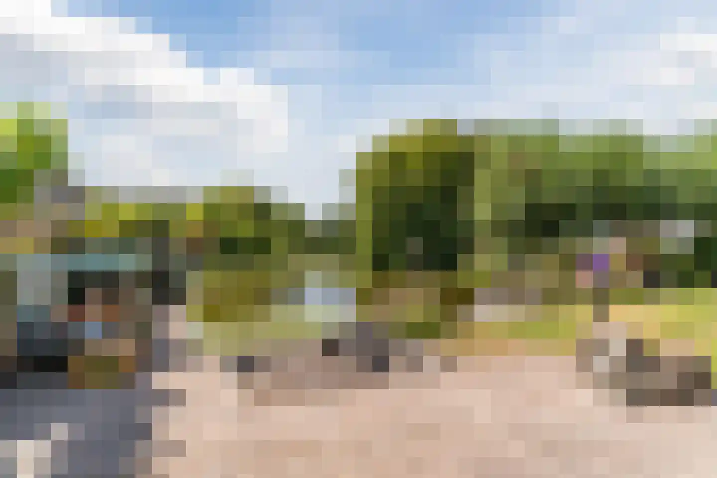 Paradijsappel 4 Winkel thumbnail 42
