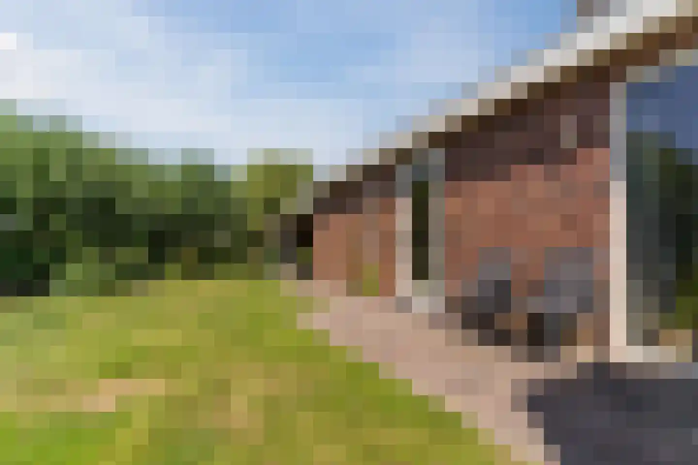 Paradijsappel 4 Winkel thumbnail 43