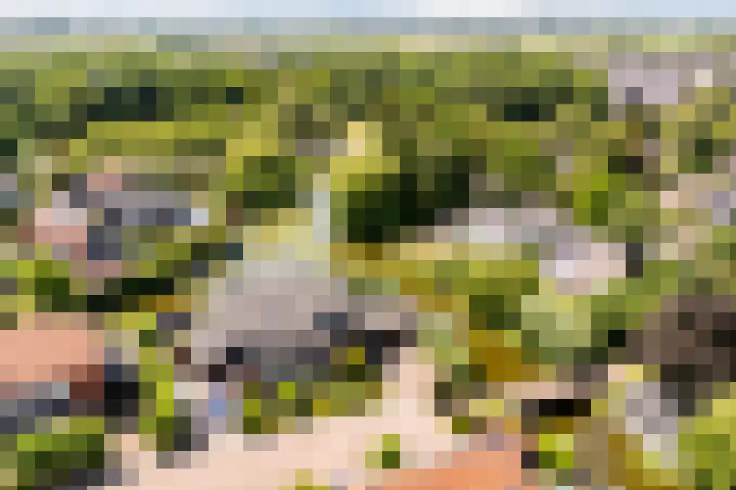 Paradijsappel 4 Winkel thumbnail 44