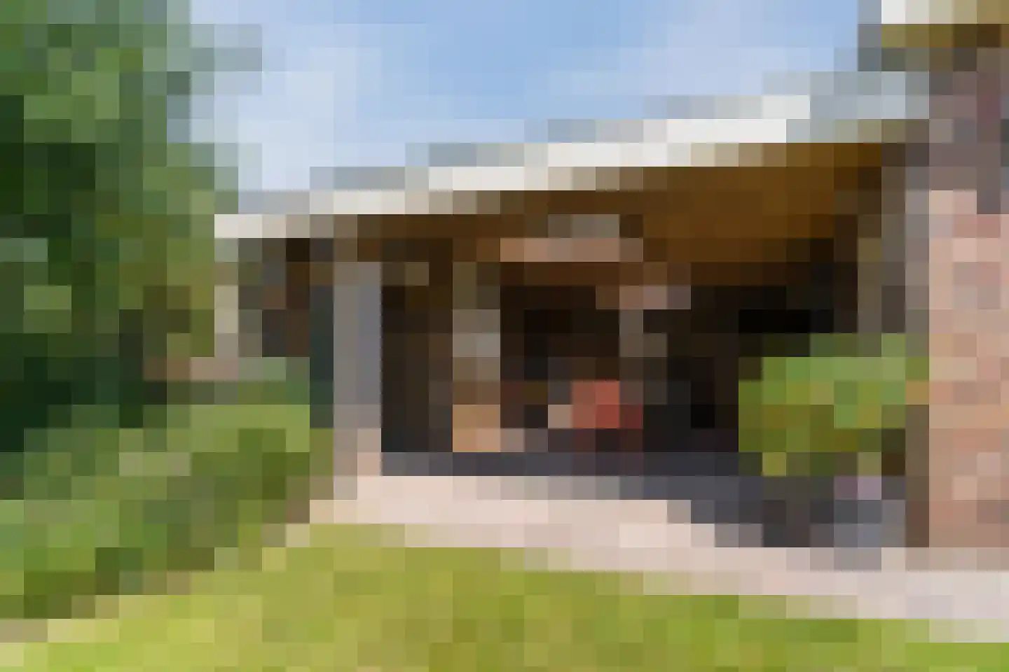 Paradijsappel 4 Winkel thumbnail 45