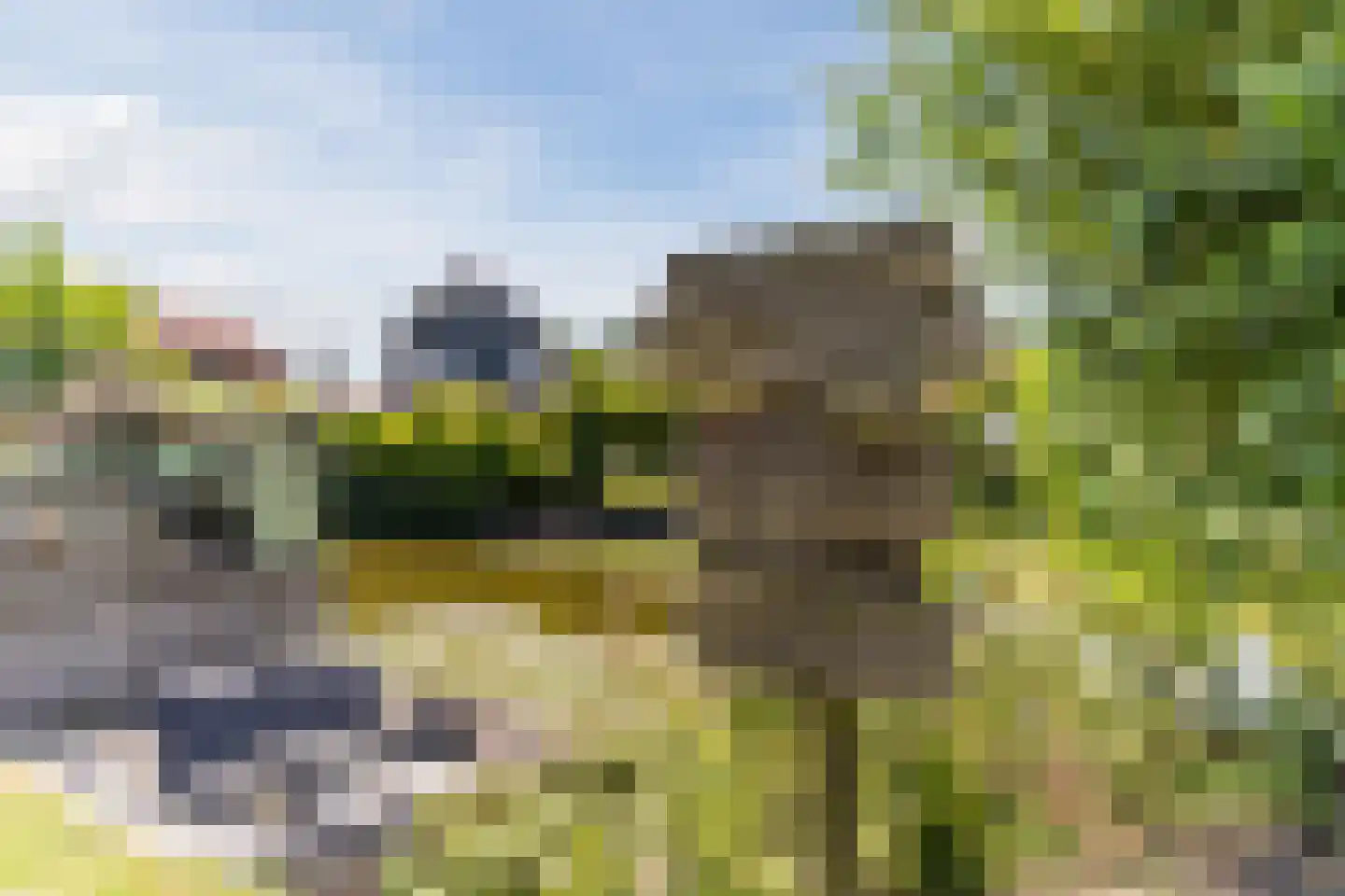 Paradijsappel 4 Winkel thumbnail 49