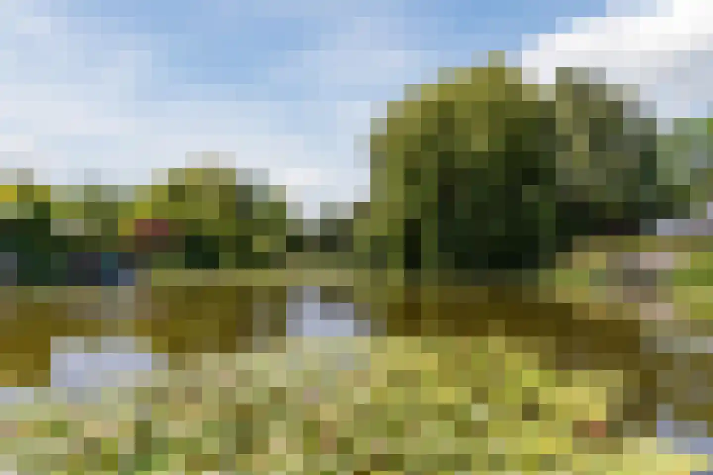 Paradijsappel 4 Winkel thumbnail 52