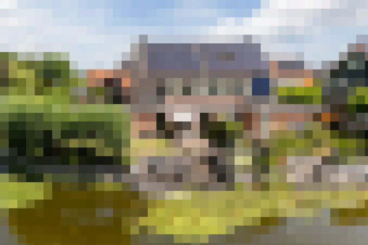 Paradijsappel 4 Winkel thumbnail 53