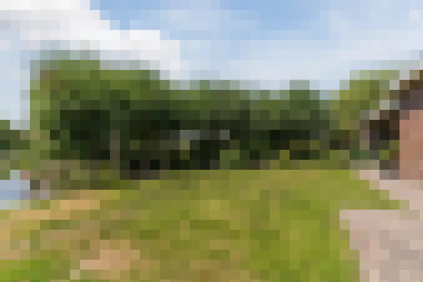 Paradijsappel 4 Winkel thumbnail 54