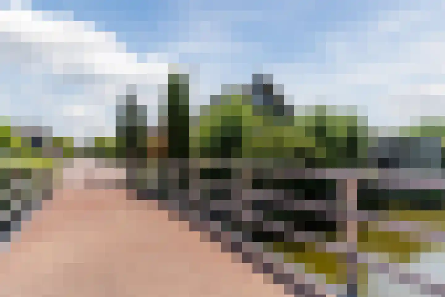 Paradijsappel 4 Winkel thumbnail 56