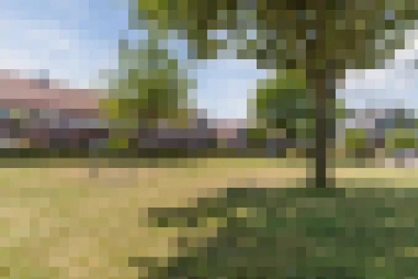 Paradijsappel 4 Winkel thumbnail 58