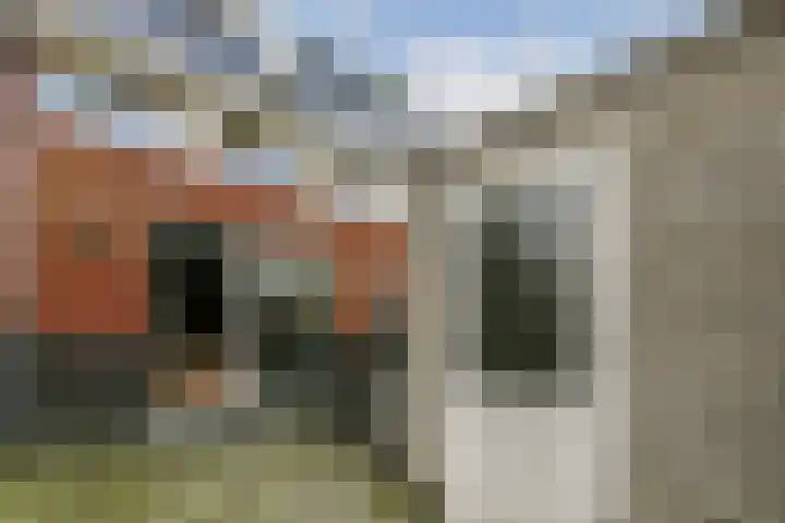 Paradijsappelstraat 17 Amsterdam thumbnail 11