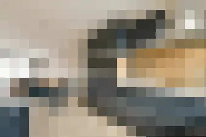 Paradijsappelstraat 17 Amsterdam thumbnail 14