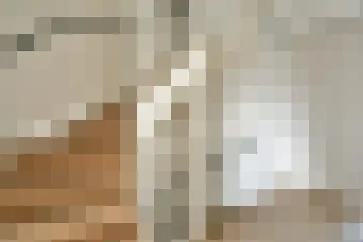 Paradijsappelstraat 17 Amsterdam thumbnail 15