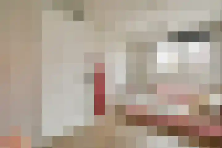 Paradijsappelstraat 17 Amsterdam thumbnail 17