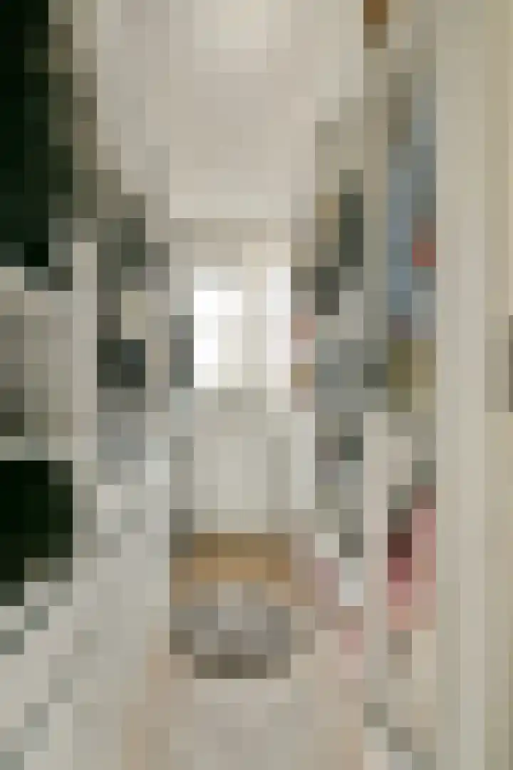 Paradijsappelstraat 17 Amsterdam thumbnail 19