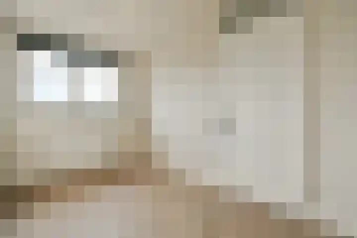 Paradijsappelstraat 17 Amsterdam thumbnail 20