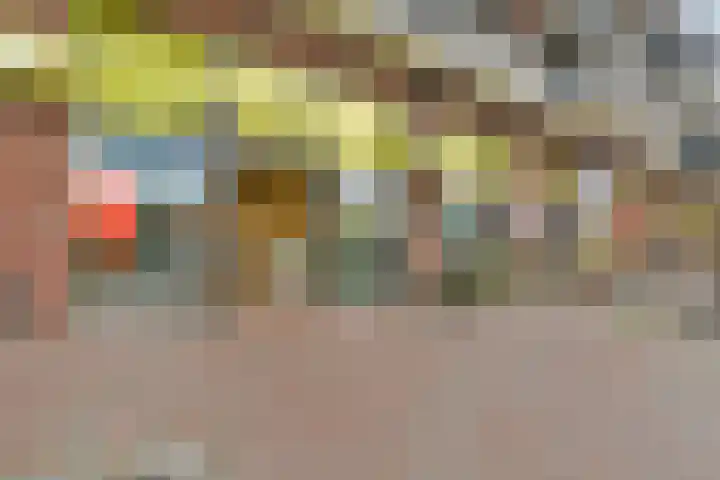 Paradijsappelstraat 17 Amsterdam thumbnail 31