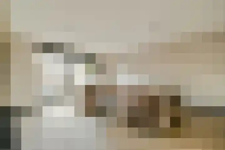 Paradijsappelstraat 17 Amsterdam thumbnail 8