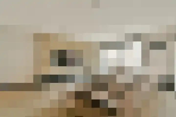 Paradijsappelstraat 17 Amsterdam thumbnail 9