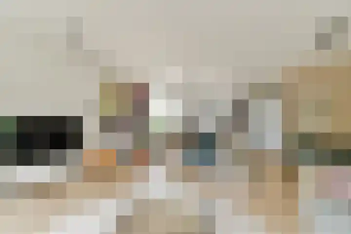 Paradijsappelstraat 31 Amsterdam thumbnail 10