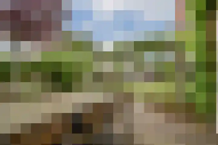 Paradijsappelstraat 31 Amsterdam thumbnail 14