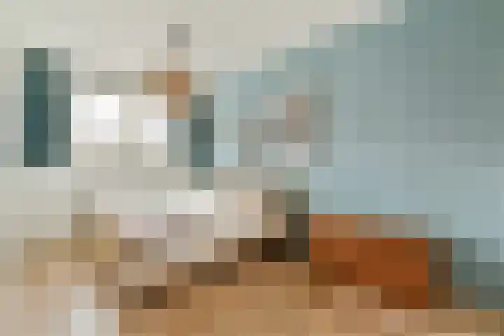 Paradijsappelstraat 31 Amsterdam thumbnail 18