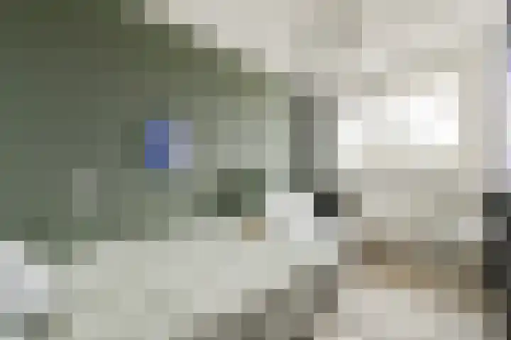 Paradijsappelstraat 31 Amsterdam thumbnail 22