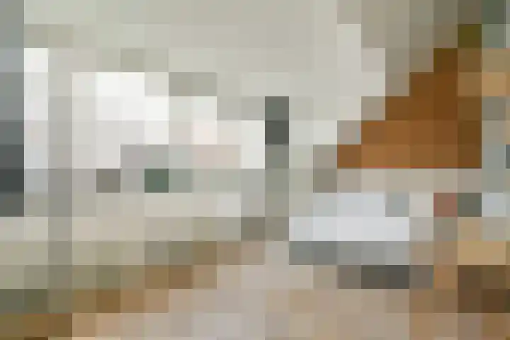 Paradijsappelstraat 31 Amsterdam thumbnail 29