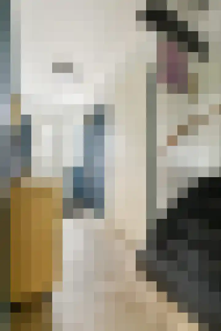Paradijsappelstraat 31 Amsterdam thumbnail 5