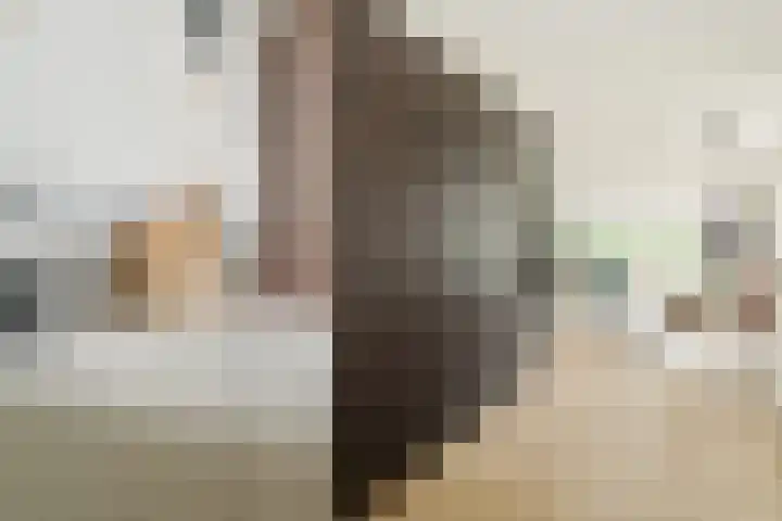 Paradijsappelstraat 31 Amsterdam thumbnail 6
