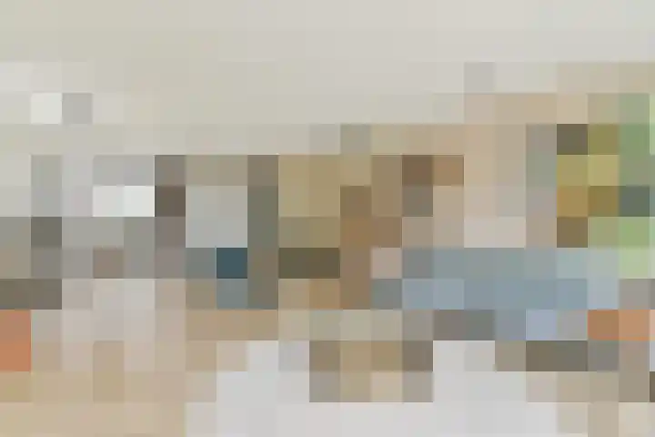 Paradijsappelstraat 31 Amsterdam thumbnail 9
