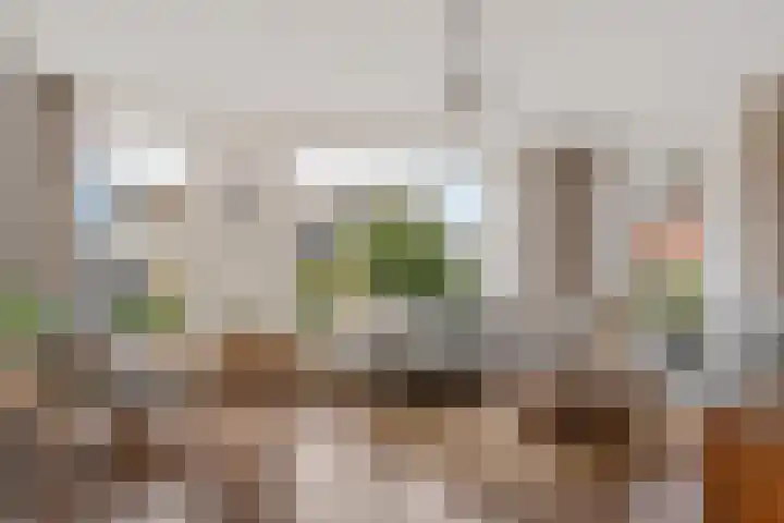 Paradijske 2 2 Drachten thumbnail 13