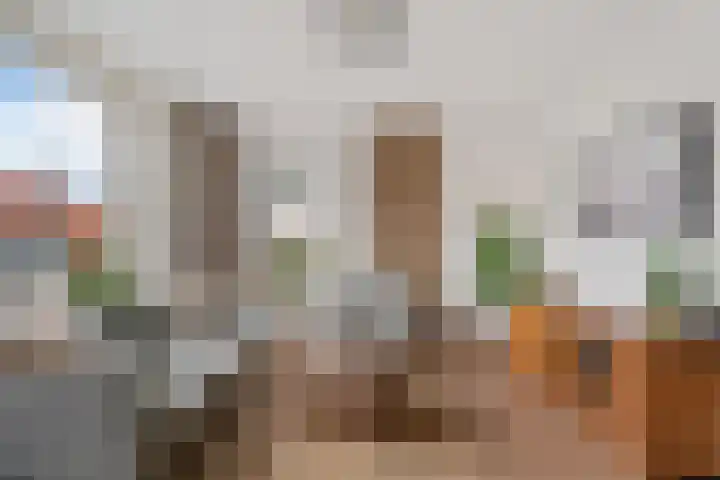 Paradijske 2 2 Drachten thumbnail 14